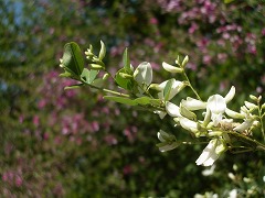 c0190010_21375652.jpg