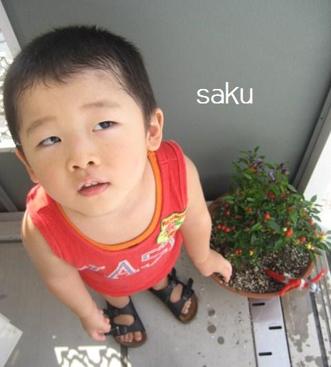 c0220112_19315746.jpg