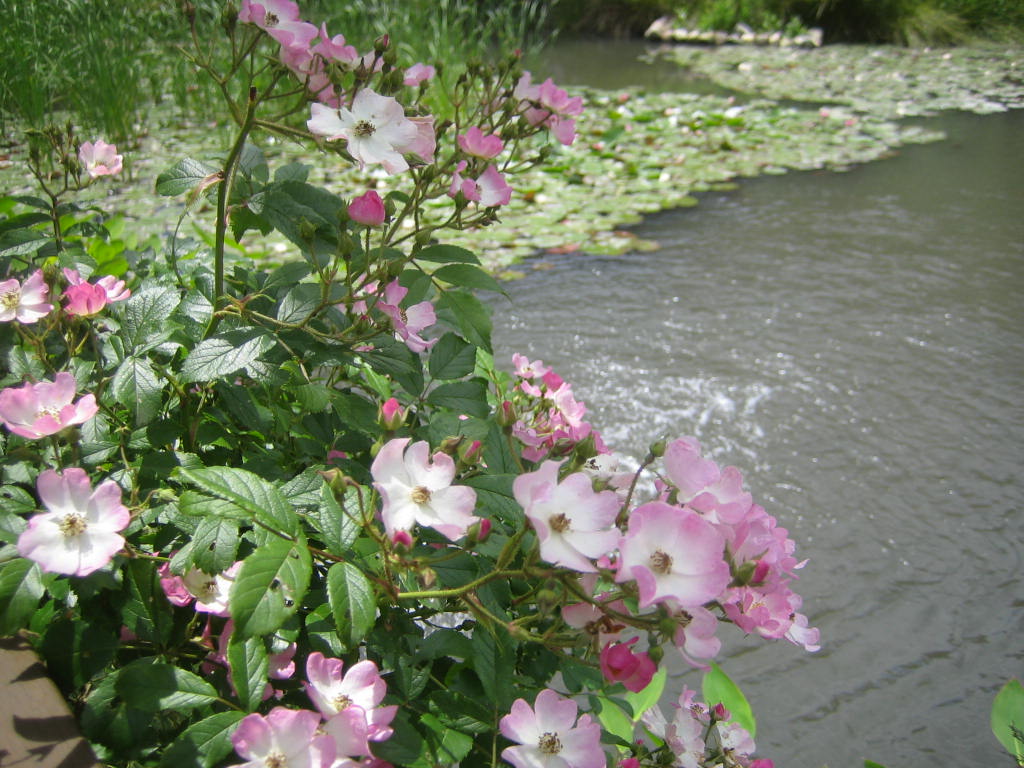 b0052816_024769.jpg
