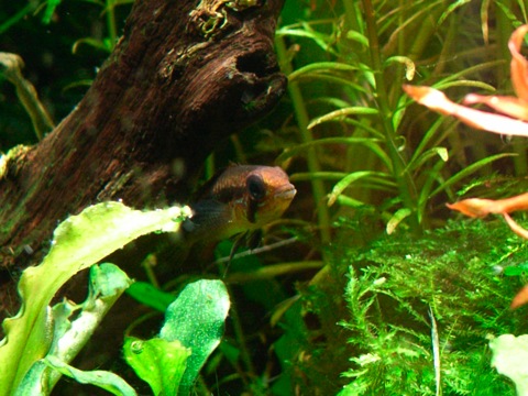 e0200816_25455.jpg