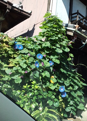 b0188121_22545776.jpg