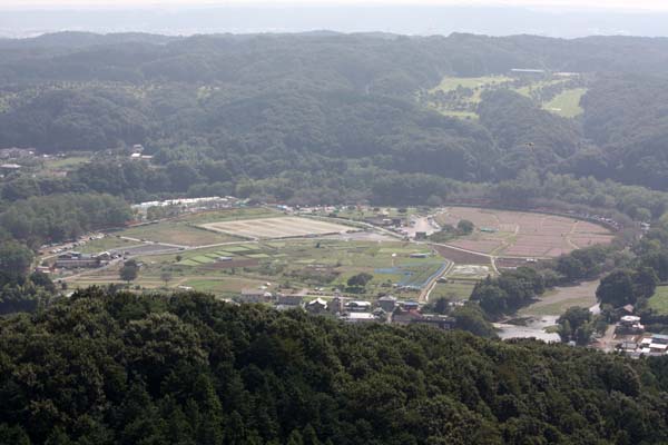 f0147025_20143879.jpg