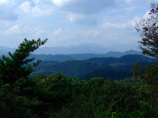 f0147025_20155540.jpg