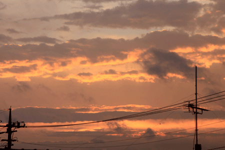 c0221827_1493234.gif