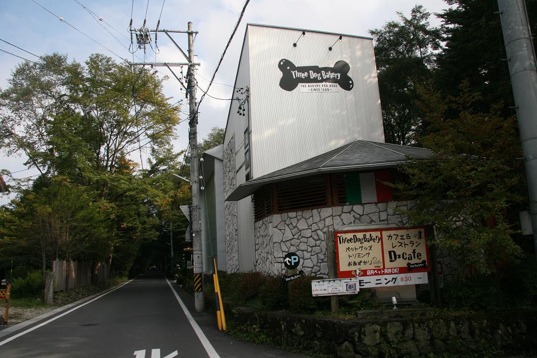 f0124830_10235010.jpg