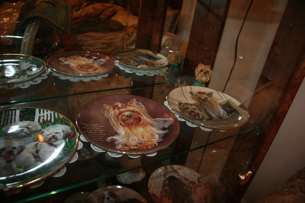 f0124830_1117146.jpg