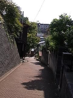 a0070831_20351548.jpg