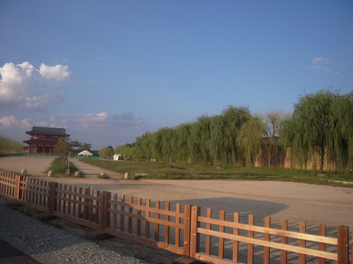 b0025633_22484324.jpg