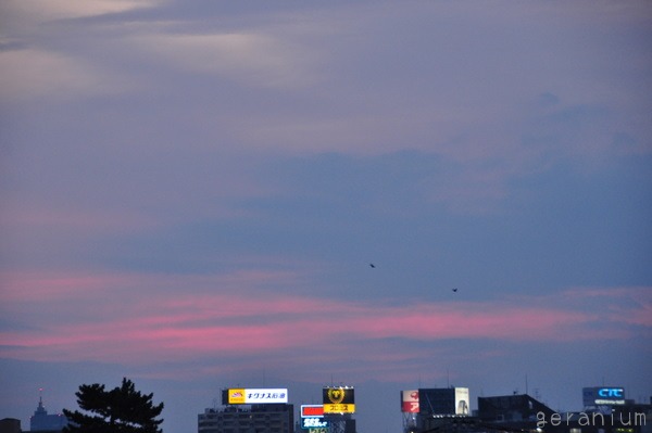 c0133533_22354128.jpg