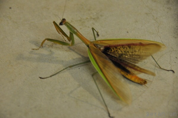 c0133533_22363255.jpg