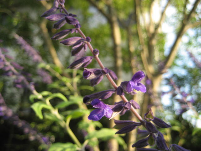 b0166435_18214675.jpg