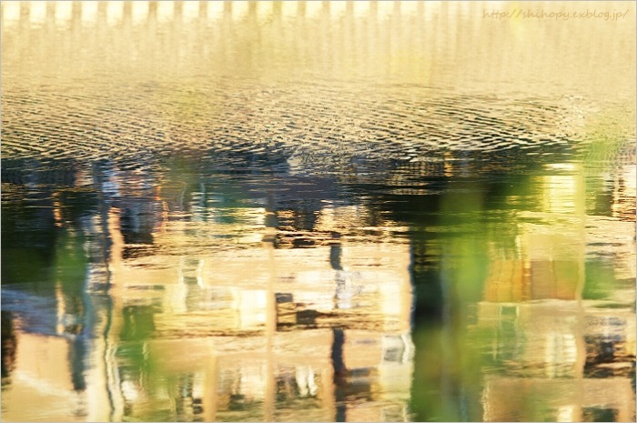 e0011137_18463879.jpg