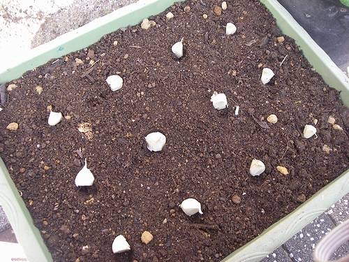 a0034438_14425390.jpg