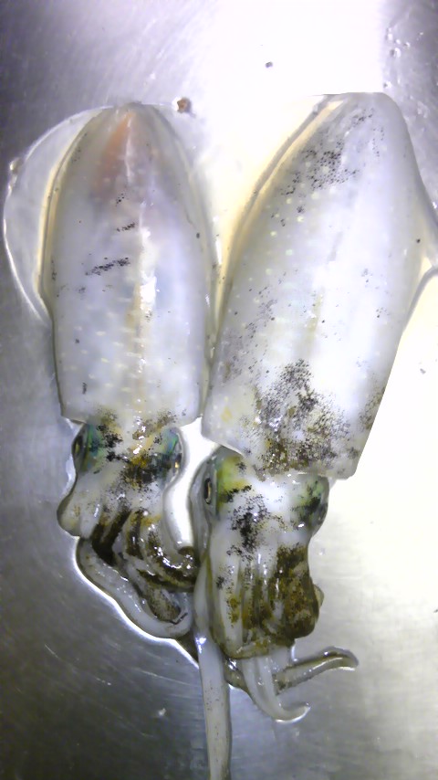 f0009238_23355334.jpg