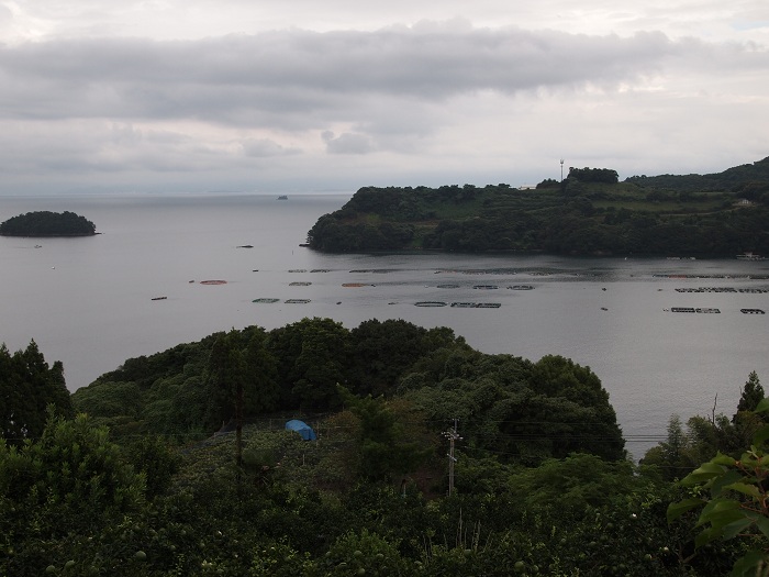a0146442_8271250.jpg