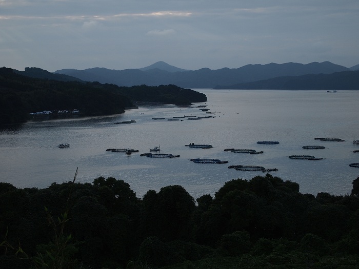 a0146442_8272314.jpg