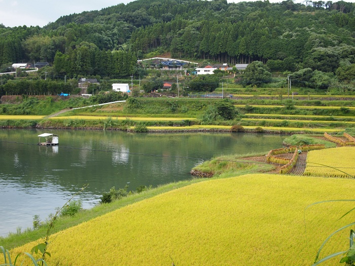 a0146442_8462066.jpg