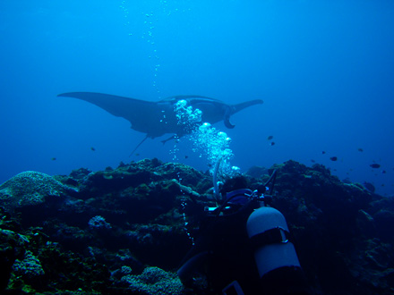 f0014842_17375397.jpg