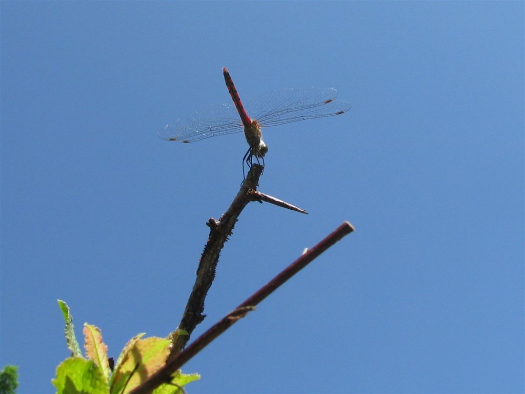 f0151044_843169.jpg