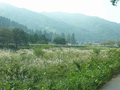 c0220047_958049.jpg
