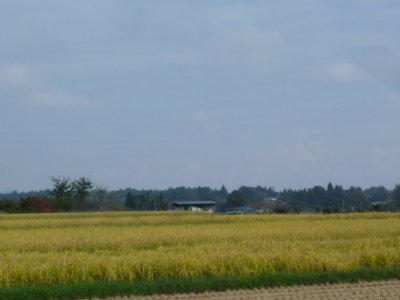 b0132950_22453464.jpg