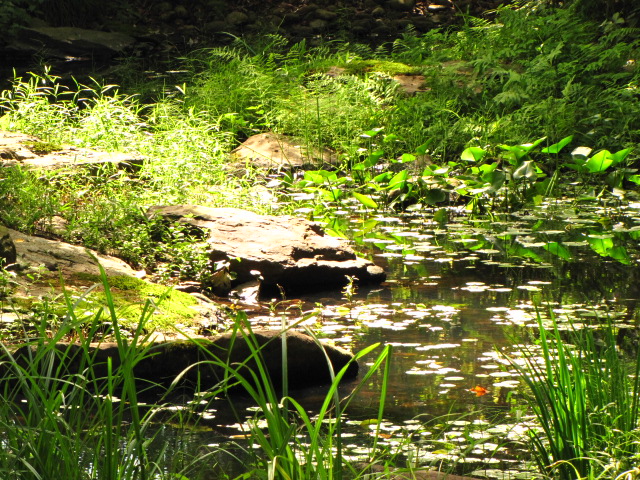 f0198950_21294477.jpg