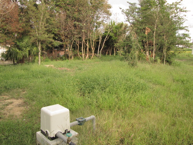 f0198950_21313624.jpg