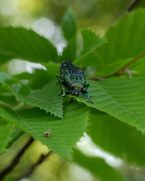 d0091754_0123179.jpg
