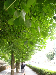 a0021558_15172647.jpg