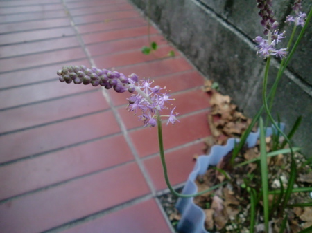 d0105063_20322130.jpg