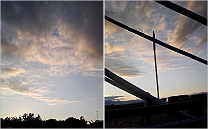 a0050669_036575.jpg