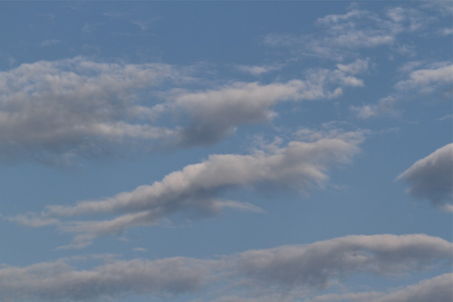 a0157069_755394.jpg