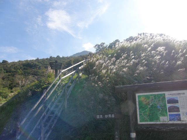 c0042869_1955306.jpg