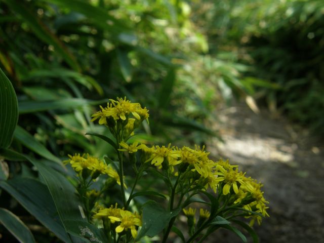 c0042869_2053047.jpg