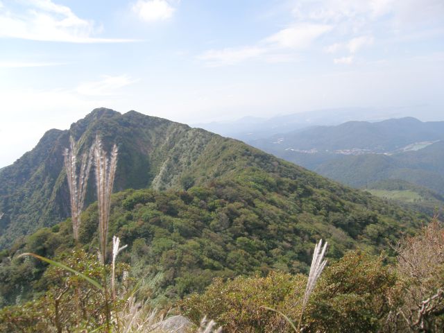 c0042869_207386.jpg