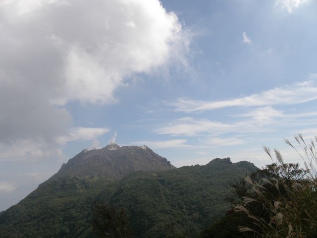 c0042869_2085080.jpg
