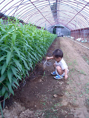 e0097770_23181520.jpg
