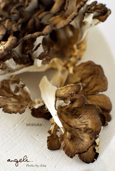 f0227975_838382.gif