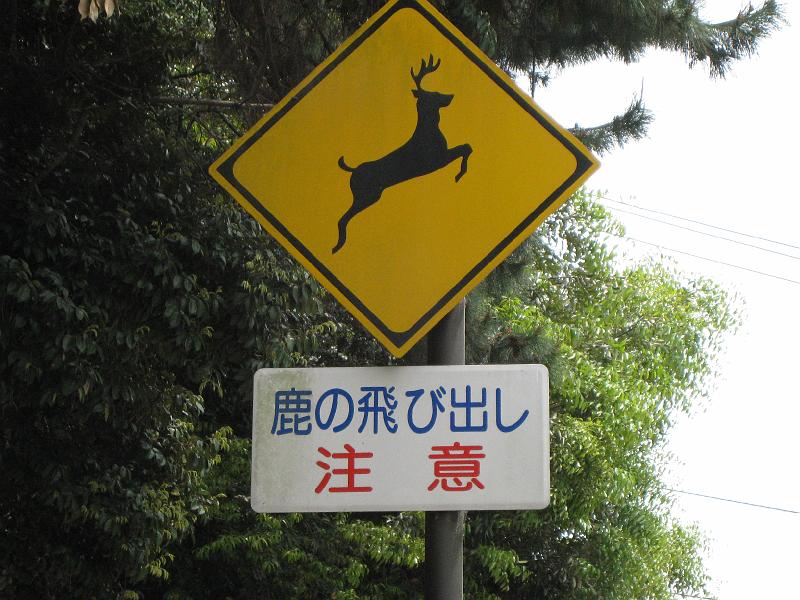 c0142576_27112.jpg