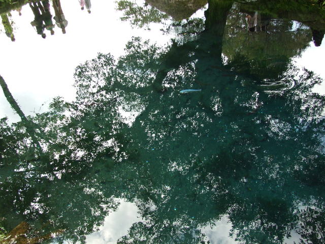 a0106978_1235960.jpg