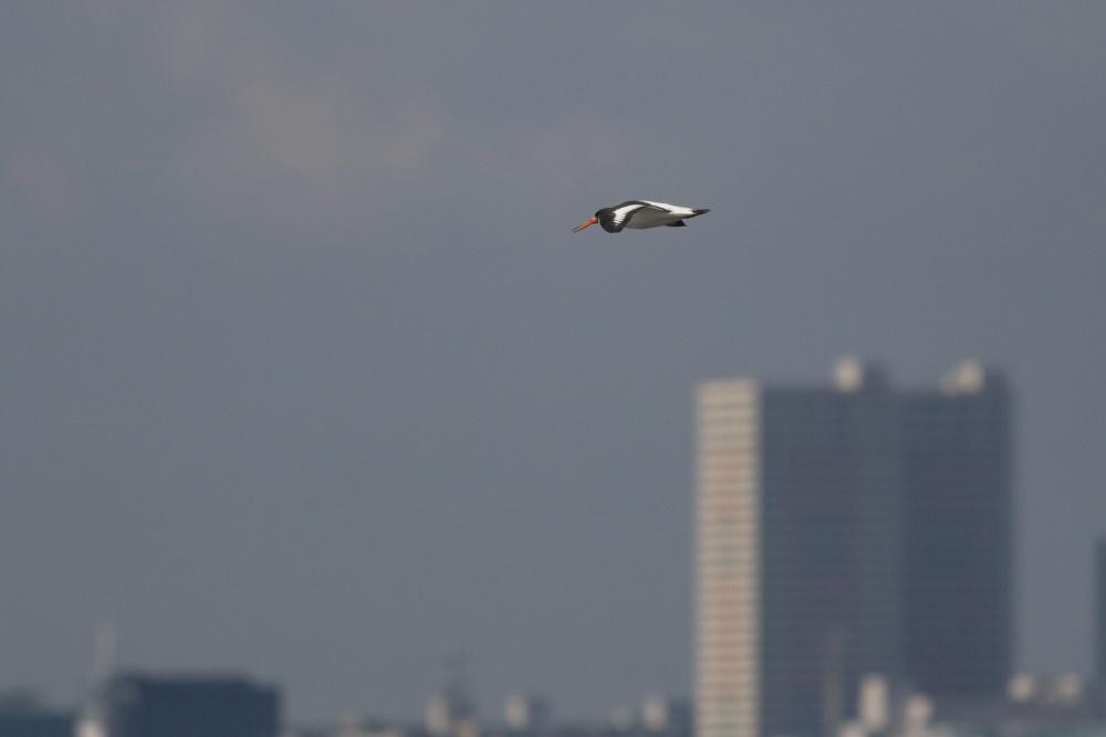 a0083081_16144250.jpg