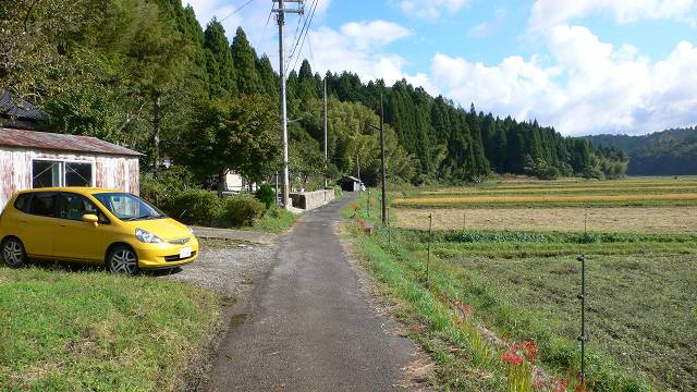 b0042882_212113.jpg