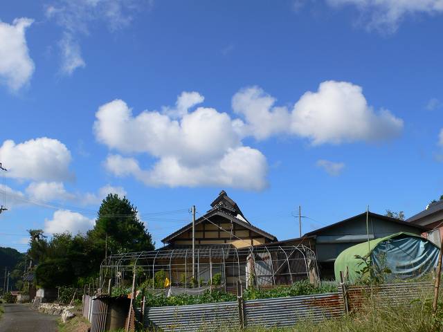 b0042882_21392840.jpg