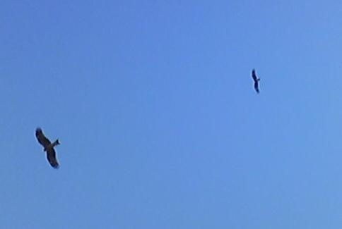 c0191597_15171210.jpg