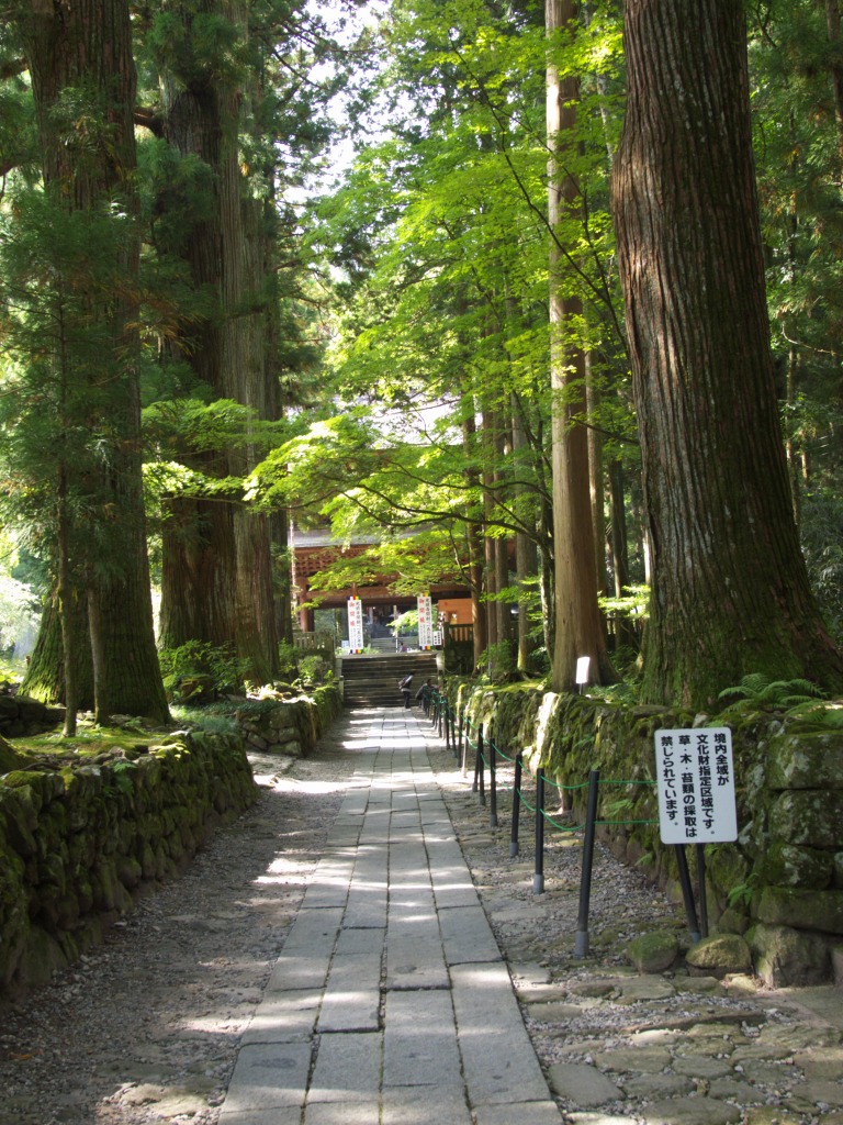 f0224100_6215674.jpg
