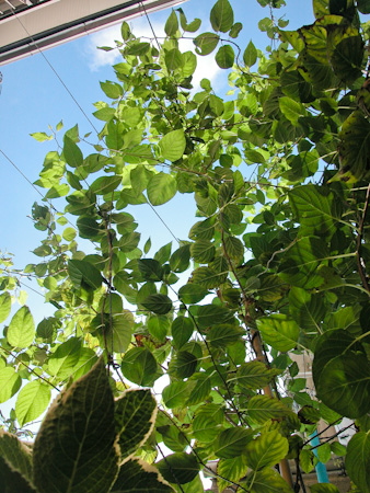 f0239100_14131359.jpg
