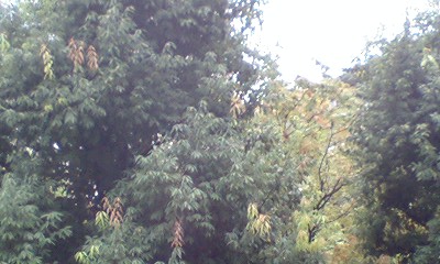 d0054704_0555895.jpg