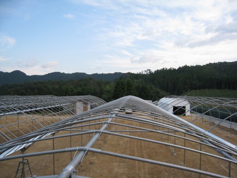 d0116205_9221928.jpg