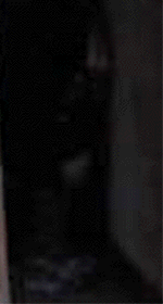 e0103408_16543033.gif