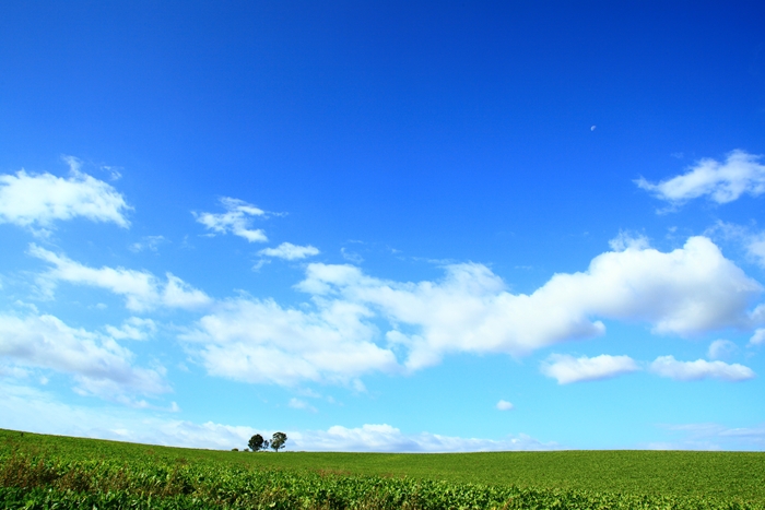 c0146510_13315280.jpg